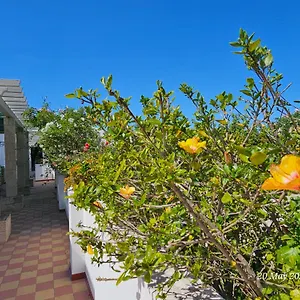  Quarto em Acomodações Particulares Blife Salinya Private At N125